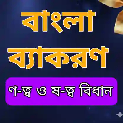 ণ-ত্ব ও ষ-ত্ব বিধান: নিয়ম, ব্যতিক্রম ও মনে রাখার সহজ কৌশল ২০২৬ প্রশ্ন ও মডেল টেস্ট